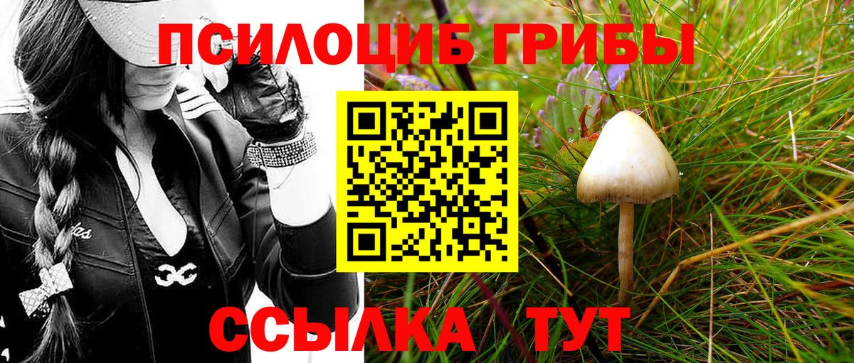 Солнечногорск  купить наркоту  Вход с VPN  Псилоцибиновые грибы Cubensis  Псилоцибиновые грибы мухоморы 